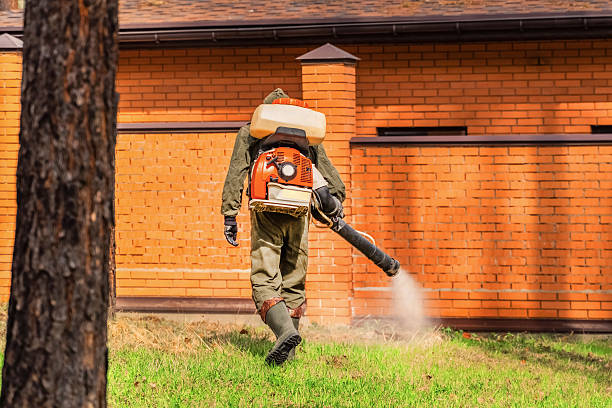 Trusted Rodent Control service in Hotchkiss, CO - Nex Pest Control